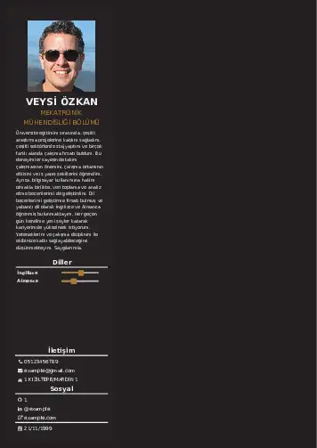 Mekatronik Mühendisliği Cv Örnekleri cv indir